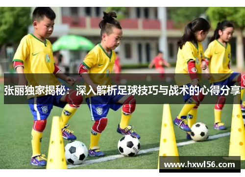 张丽独家揭秘：深入解析足球技巧与战术的心得分享