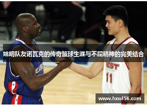 姚明队友诺瓦克的传奇篮球生涯与不屈精神的完美结合